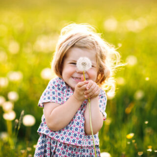 Experiencing Nature - A little girl in a green meadow holds a dandelion.
