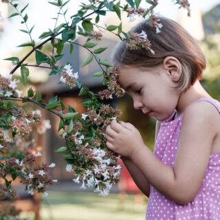 Non-toxic plants for playgrounds - a girl holding a flowering branch and looking at it.